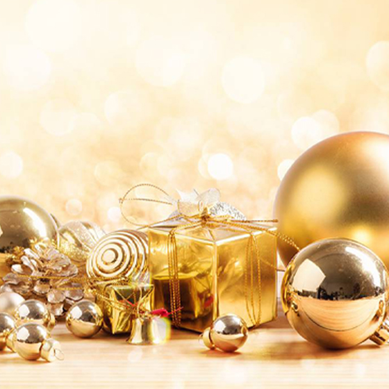 中１英語で話せる エレガンス英会話レッスン